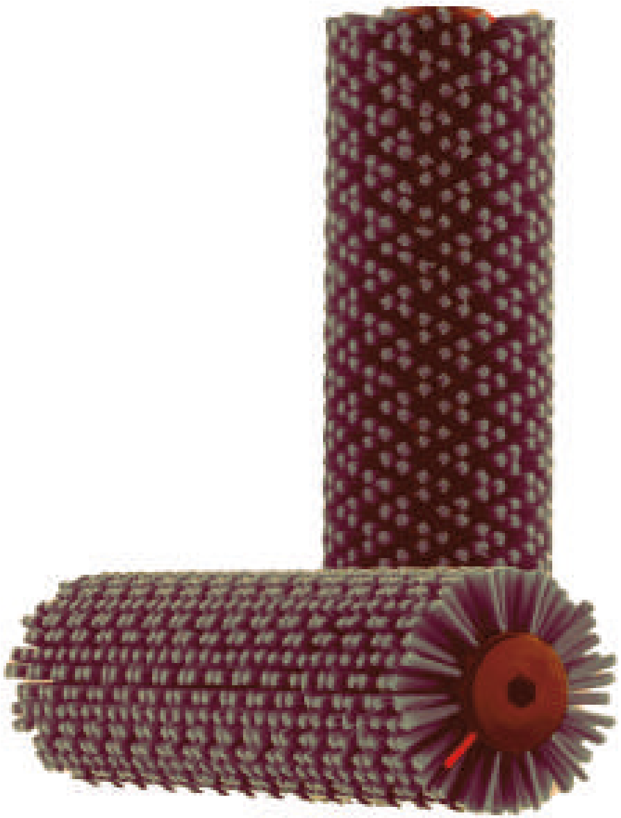 Brown CRB Brush
